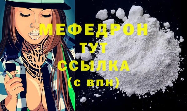 крисы Козельск