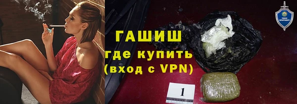 крисы Козельск
