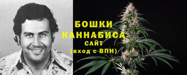 молекула духа Костерёво