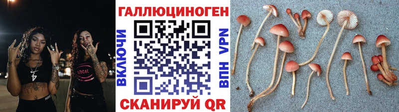 Галлюциногенные грибы Magic Shrooms  ОМГ ОМГ   Красавино 